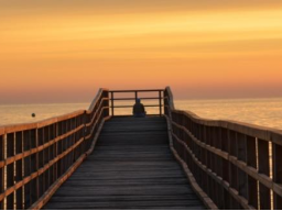 Webinar: Yoga-Abendausklang (Ahimsa)