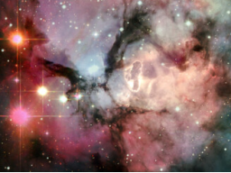 Webinar: New Dimension X97X
