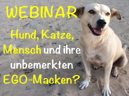 Webinar: Hund, Katze, Mensch und ihre unbemerkten EGO-Macken.
