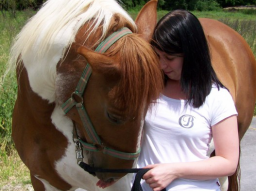 Webinar: ☆One Spirit-Einstimmung-Tierenergien☆
