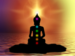 Webinar: Chakraserie - 1. Chakra