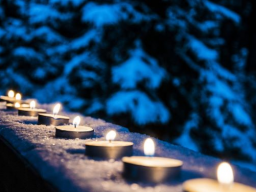 Webinar: Die Rauhnächte - VortexHealing® Energy Healing