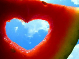 Webinar: Liebe 2: Warum wir uns immer in die falschen verlieben
