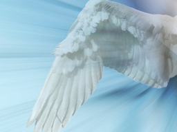 Webinar: Übertragung von Engel Heil-Energie/Angelic Healing Transmission