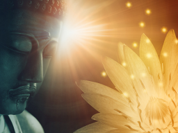 ***NEU*** -Das Hyperdimensional Ascendant Protocol (Unvergleichlicher spiritueller Aufstieg/Fortgeschrittene Toröffnungen) - FW!