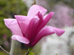 Flüche und Verwünschungen auflösen