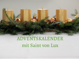 Webinar: ADVENTSKALENDER Trainer: Saint von Lux
