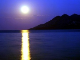 Webinar: ~ Vollmond Meditationsreise ~ (auf Wertschätzungsbasis)