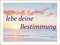 Webinar: Einzel - Beratung