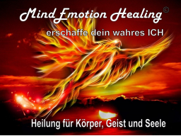 Webinar: MindEmotion Healing - Heilung f. Körper, Geist & Seele