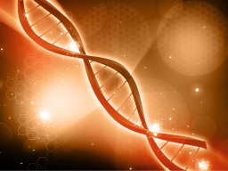 BrandNEU!!! COACHING/AUSBILDUNG: LICHT GOTTES-ICH BIN DAS ICH BIN (Göttliche DNA) - FERNEINWEIHUNG!