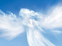 Webinar: Meditation Begegne Deinem Schutzengel