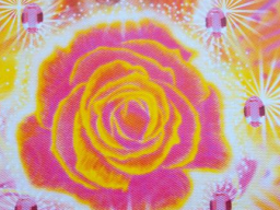 Webinar: NEU* Dein Herz ruft dich*Schamanische Reise zu deinem Herzen!