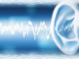 Webinar: SPIRITUELLES HÖREN - OHR-AKTIVIERUNGS-DEKRETE