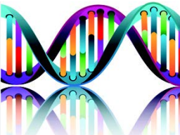Webinar: Ausbildung/Coaching: 36 Strang DNA Aktivierung - FERNEINWEIHUNG!