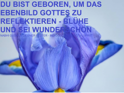 Webinar: DER GRASS-UND LILIEN-TEST - YESHUA-SOMMER-BOTSCHAFT - WERTSCHÄTZUNGS-BASIS