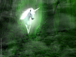 Webinar: Einhornsegen/Channeling