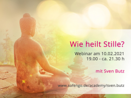 Webinar: Wie heilt Stille? MEDITATION & FRAGERUNDE (D)
