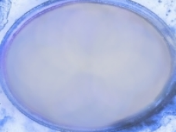 ⌛ Spiegel deine Seele ⌛