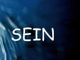Webinar: absolute Freiheit- DAS! ist es