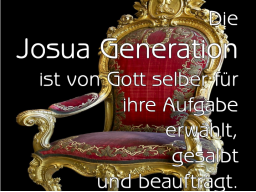 Webinar: WICHTIGE BOTSCHAFT AN DIE JOSHUA-GENERATION - IHRE SPIRITUELLE VORREITERROLLE OHNE ANGST ANNEHMEN