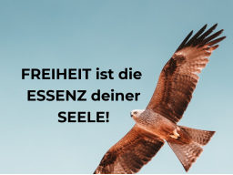 Webinar: Sexueller Missbrauch - Raus aus der Kompensation - rein ins freie Leben!