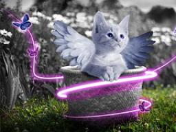 Webinar: Einen Abend mit den Engeln verbringen