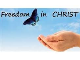 Webinar: DEINE FREIHEIT IM CHRISTUS-BEWUSST-SEIN - SPIRITUELLER PROZESS-UPGRADE
