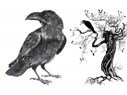 Webinar: Coaching/Ausbildung: CORVUS CORAX - Fähigkeiten erhöhen! Ferneinweihung!