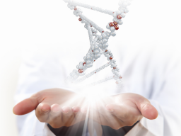 Webinar: SPIRITUELLE PSYCHOGENETIK - INDIVIDUELLE KLÄRUNG DEINER FAMILIEN-PRÄGUNGEN