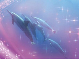 Webinar: Delfine - Abtauchen in Leichtigkeit