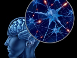 Webinar: Astromedizin 9.5.: Zentrales und peripheres Nervensystem