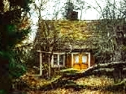 Webinar: ♡ ☼ ♖ Das Waldhaus der Erkenntnis ♖♡ ☼