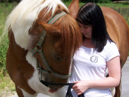 Webinar: ♥♥♥Spirituelle Tierheiler Programm-persönliche Einstimmung♥♥♥