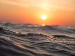 Webinar: Meditation - stilles Gebet