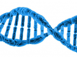 Webinar: Verjüngung und Umstrukturierung Deiner DNA über die Verschmelzung Deines Lichtabdruckes in Lemurien