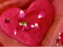 Liebe ist Heilung... Einzelsitzung