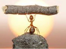 Webinar: Hypnose/Trancereise: Selbstbewusstsein stärken/erwecken