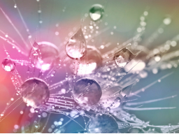 Webinar: Atlantis Energie Channel