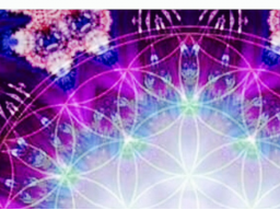Webinar: Transformation -leicht gemacht....!